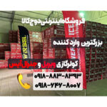 دوج کالا وارد کننده کولرگازی های جنرال آیس