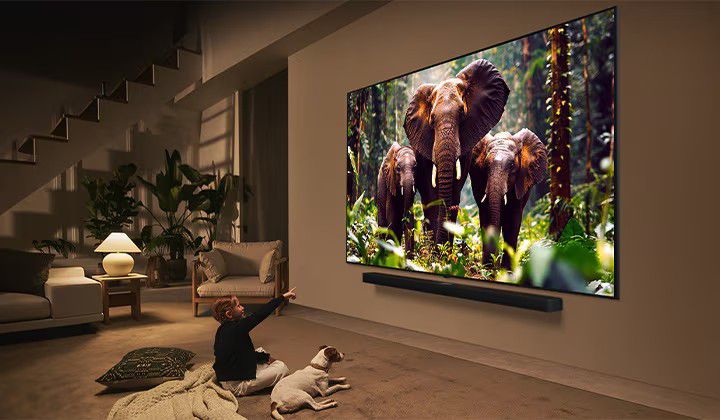 تلویزیون ال جی 55QNED86A 1 تلویزیون ال جی 55QNED86A6A