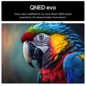 تلویزیون ال جی 65QNED86A 2 بررسی کیفیت تصویر و نمایشگر تلویزیون ال جی 65QNED86A6A