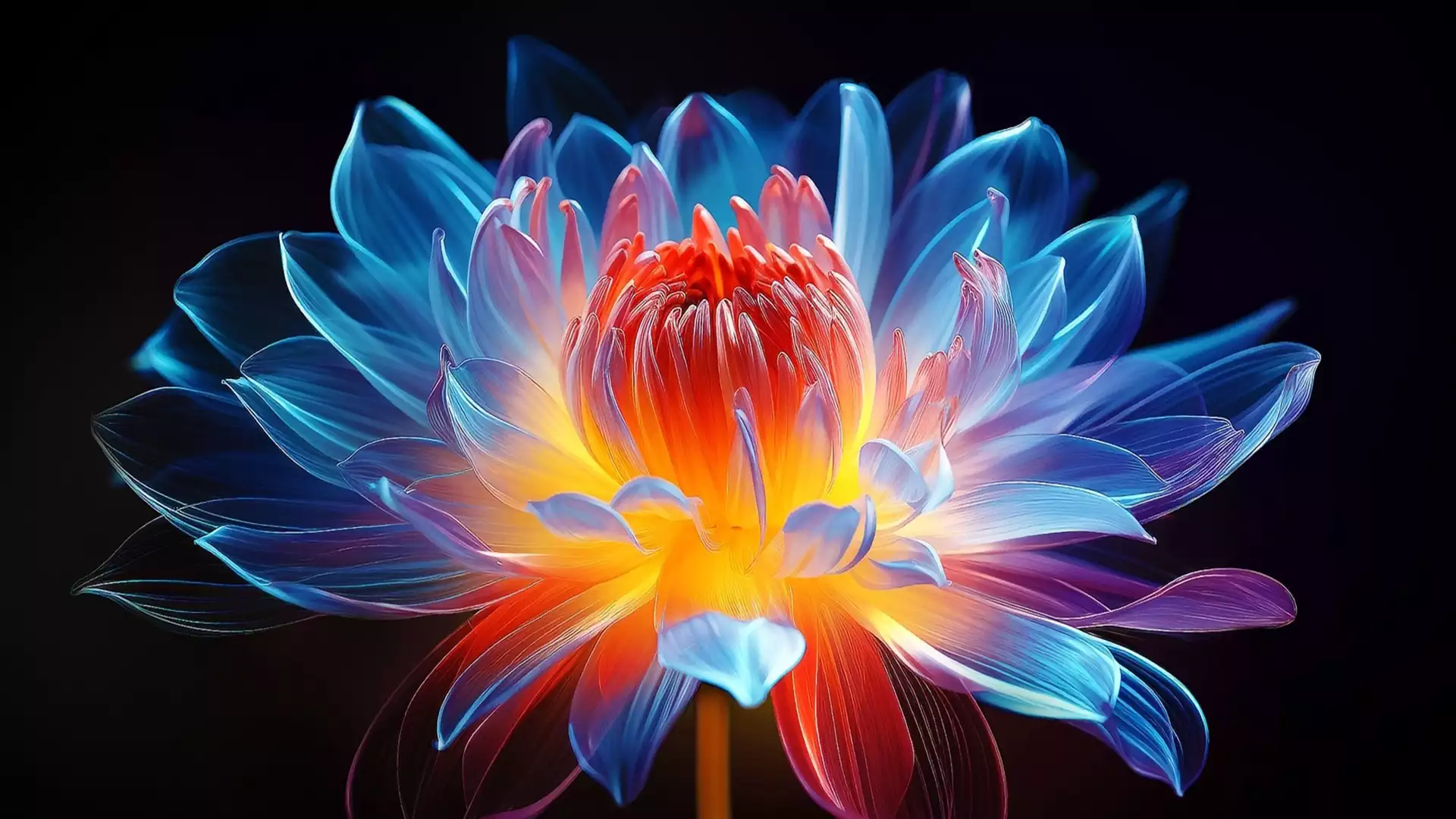 تلویزیون الجی 55UA8550 3 کیفیت تصویر 4K تلویزیون ال جی 55UA8550