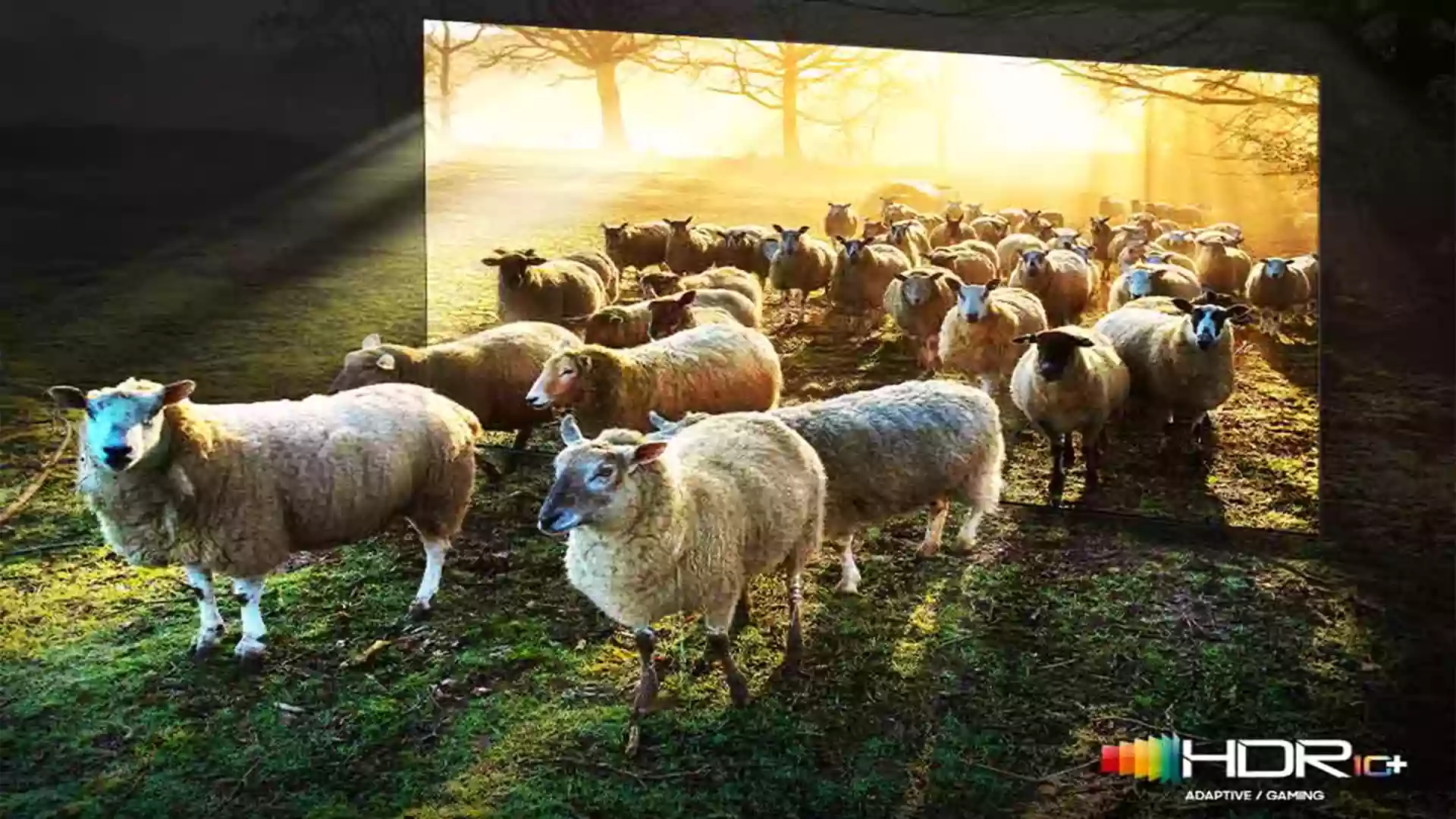 تلویزیون سامسونگ مدل 65QN900D 4 تلویزیون 8K سامسونگ مدل 65QN900D