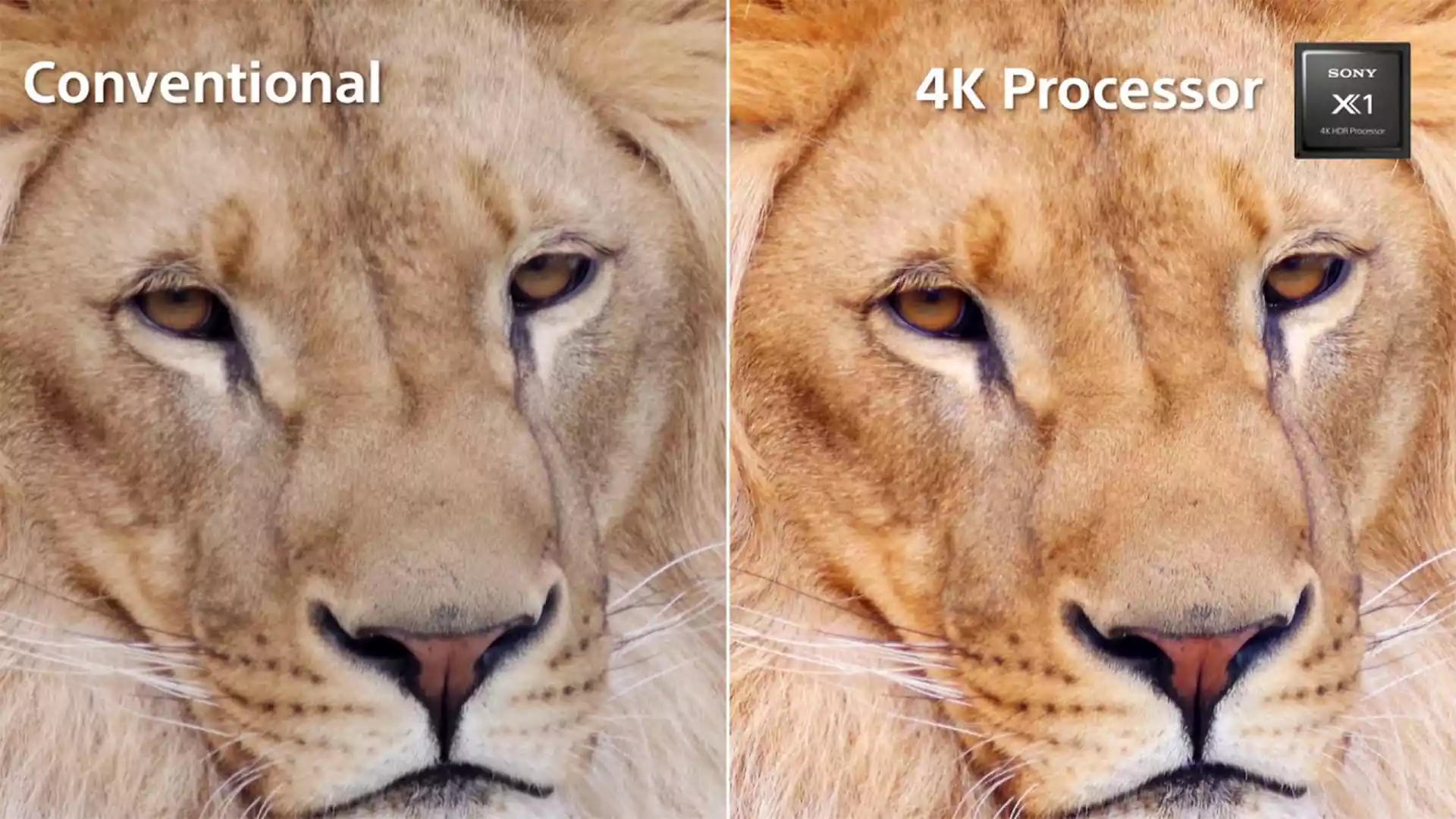 تلویزیون سونی مدل 75S20M2 3 تلویزیون فورکی سونی 75S20M2